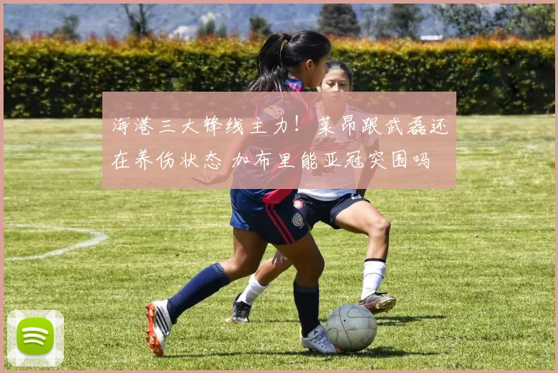 海港三大锋线主力！莱昂跟武磊还在养伤状态 加布里能亚冠突围吗